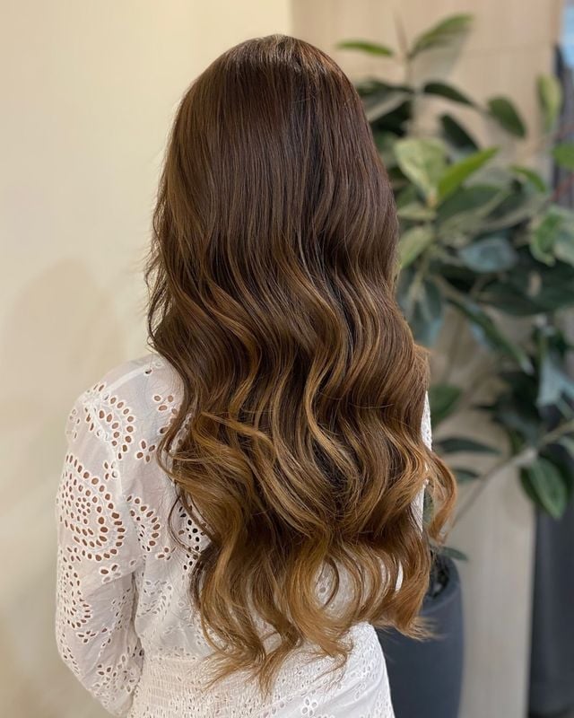 Brown Base With Honey Highlights Mid-Back — Classy Honey Brown Highlights