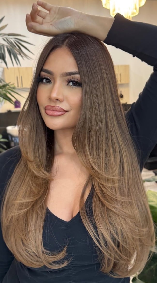 Mid-Back With Dark Brown To Blonde Transition — Classy Light Brown Balayage
