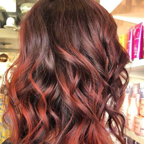 Shoulder Length Curls With Mahogany Undertones — Classy Mahogany Hair