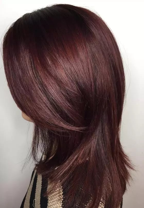 Collarbone Blowout With Deep Mahogany Base — Classy Mahogany Hair