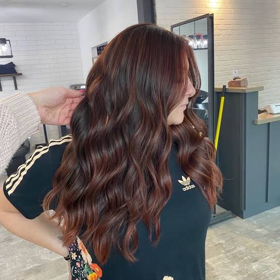 Dimensional Mahogany With Red And Brown Highlights — Classy Mahogany Hair