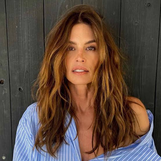 Long Shag Warm Brown Balayage — Classy Mom Haircuts