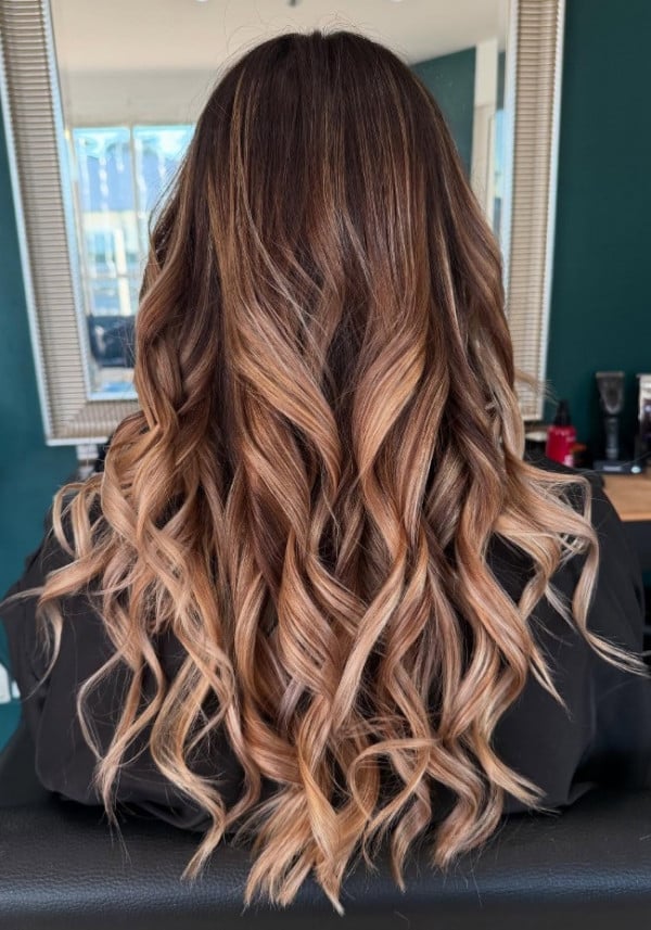 Thick Mid-Back Ombre Dark Brown To Honey Blonde, Layers Thick Mid-Back Ombre Dark Brown To Honey Blonde, Layers — Classy Ombre Hair