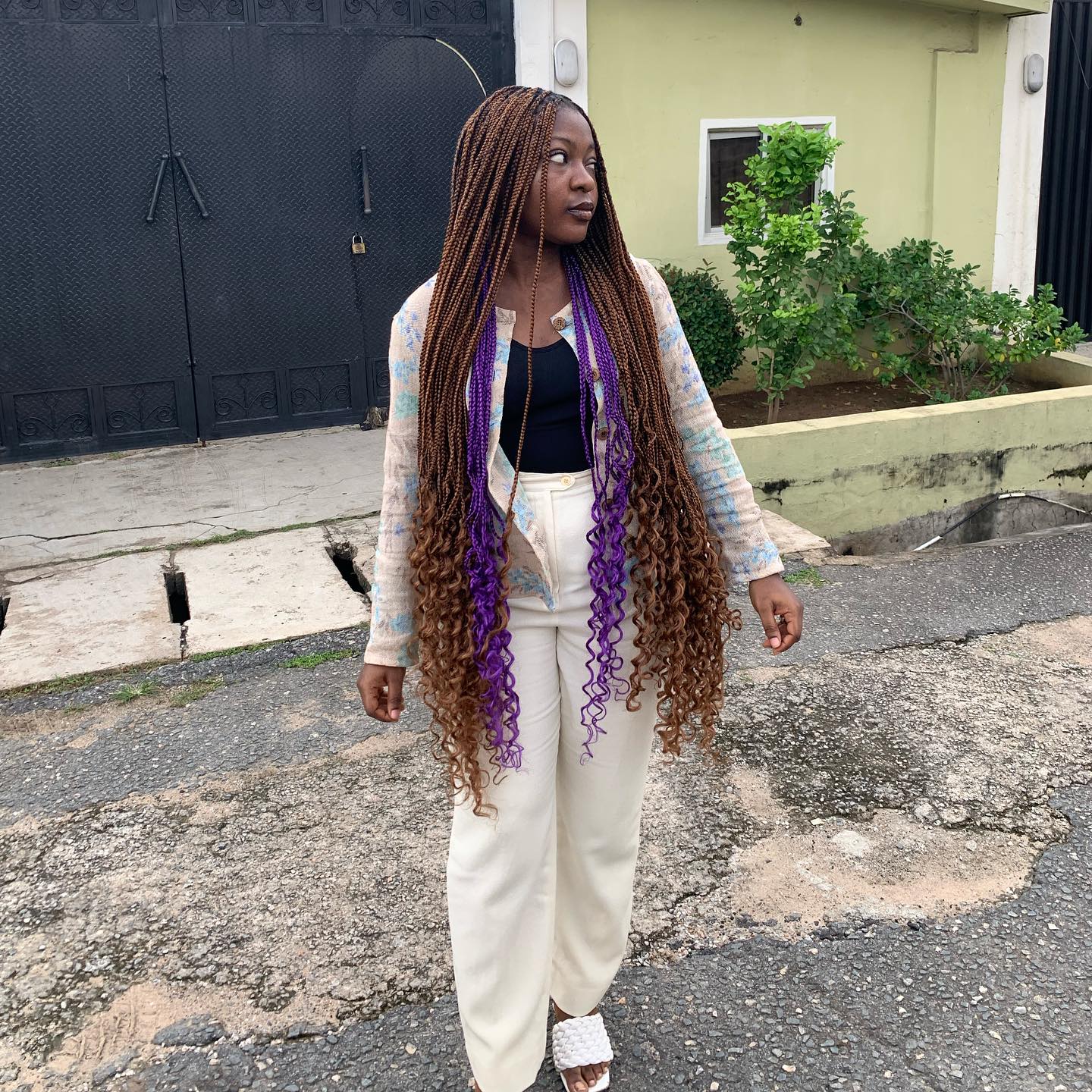 Brown Box Braids With Purple Curls Brown Box Braids With Purple Curls — Classy Peekaboo Braids