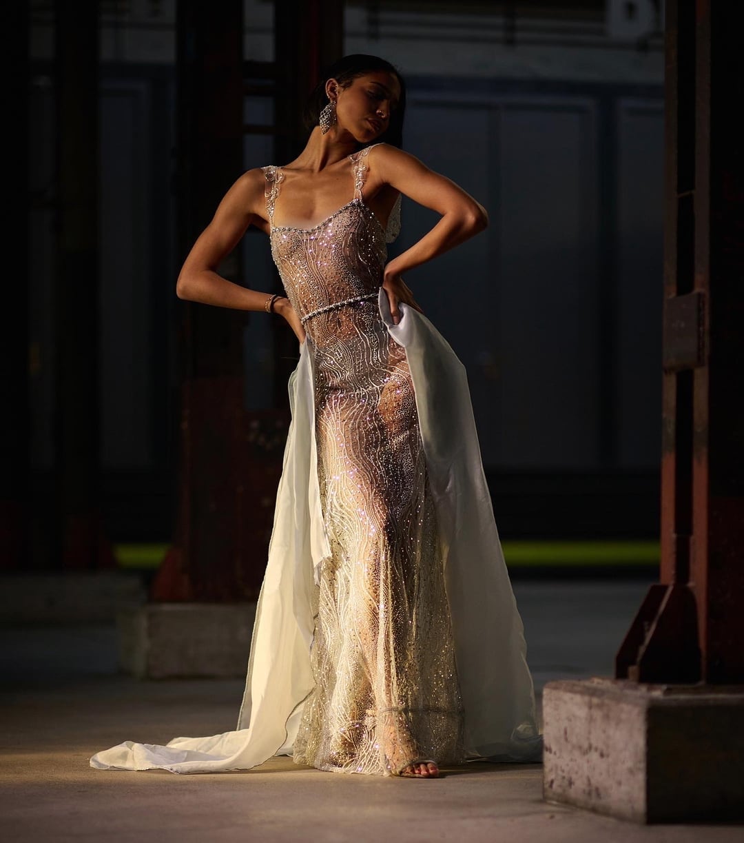 Silver Embellished Sheer Dress with Train — Classy Photoshoot Dress