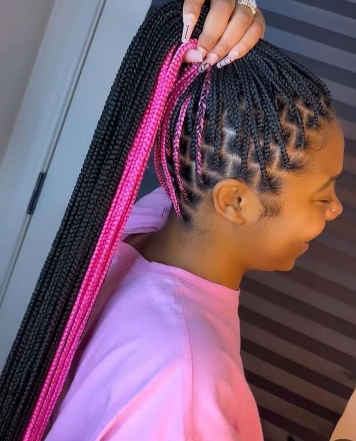 Side View Black Box Braids With Pink Highlights Side View Black Box Braids With Pink Highlights — Classy Pink Braids