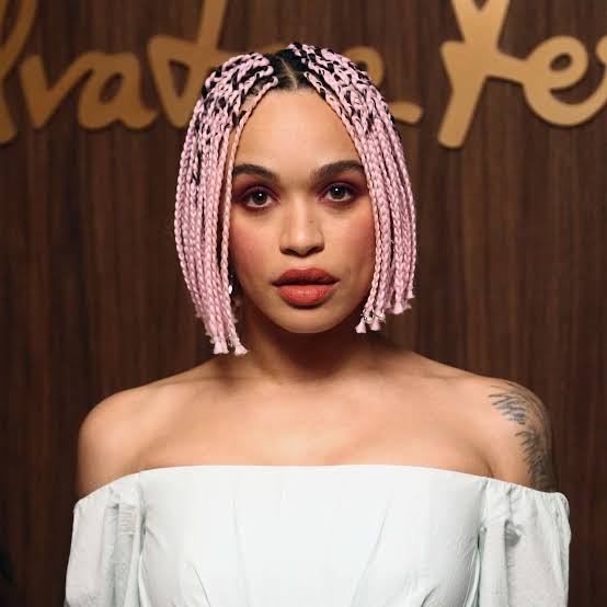 Chin-Length Pink Box Braids Bob Chin-Length Pink Box Braids Bob — Classy Pink Braids