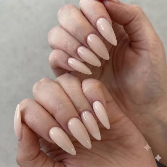 Pale Nude Glossy Long Stiletto Nails — Classy Plain Nails