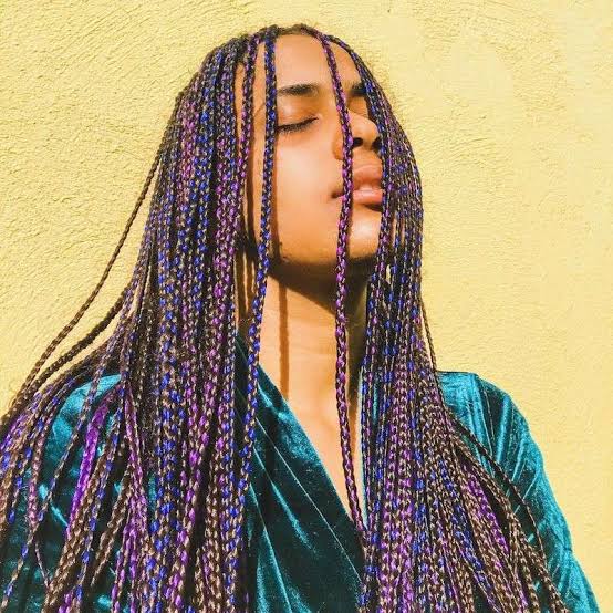 Dark And Light Purple Highlighted Box Braids — Classy Purple Braids