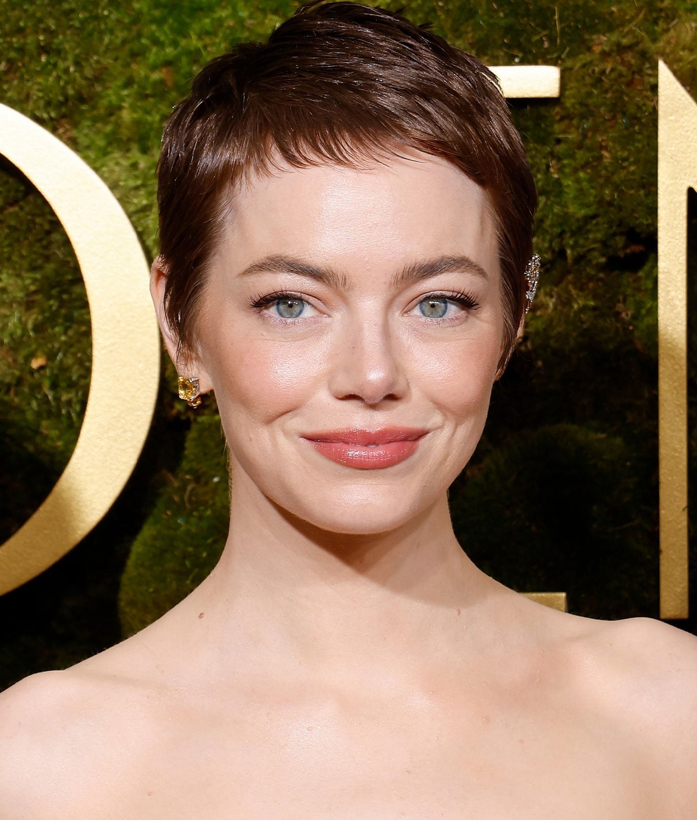 Brown Pixie With Textured Crown Brown Pixie With Textured Crown — Classy Short Hair Pixie