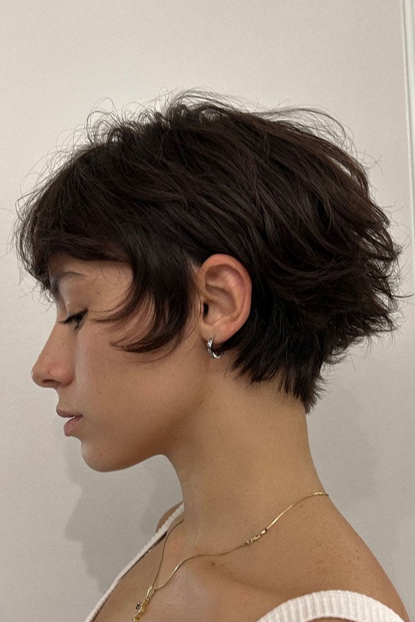 Dark Brown Shag Ear Length With Curtain Bangs and Air Dried Dark Brown Shag Ear Length With Curtain Bangs and Air Dried — Classy Short Shaggy Haircut