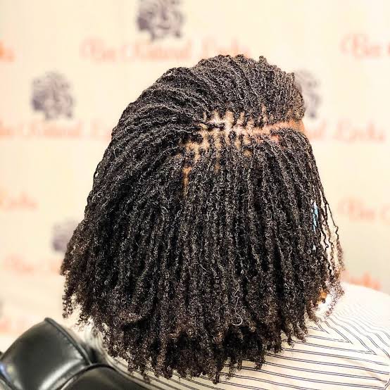 Visual Idea, Coily Visual Idea, Coily — Classy Sister Locs