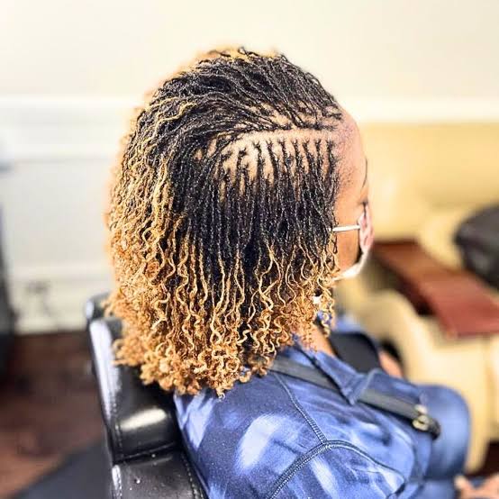 Visual Idea, Black And Blonde Visual Idea, Black And Blonde — Classy Sister Locs