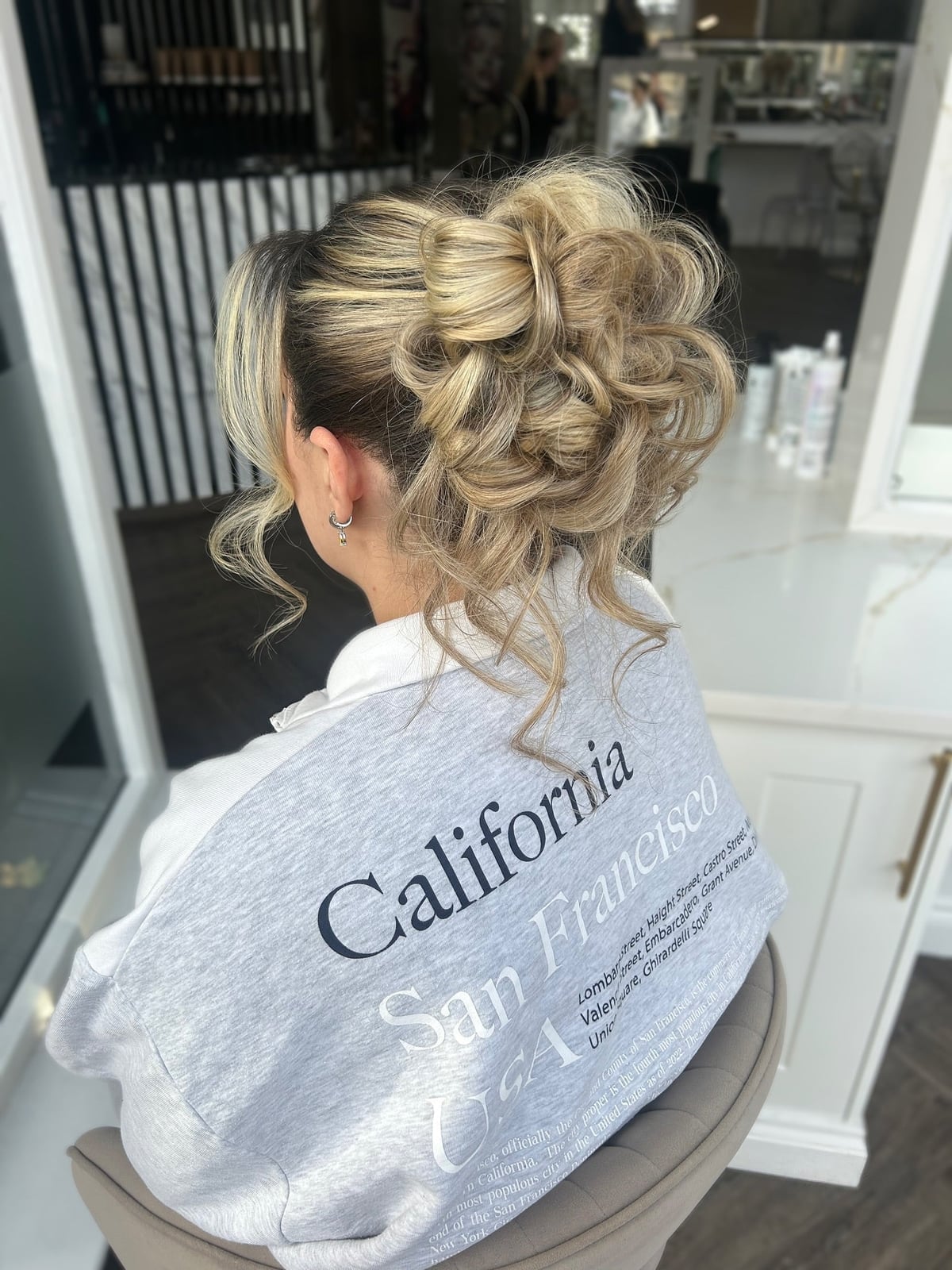 Intricate Braided Dark Brown Updo Intricate Braided Dark Brown Updo — Classy Updo Wig