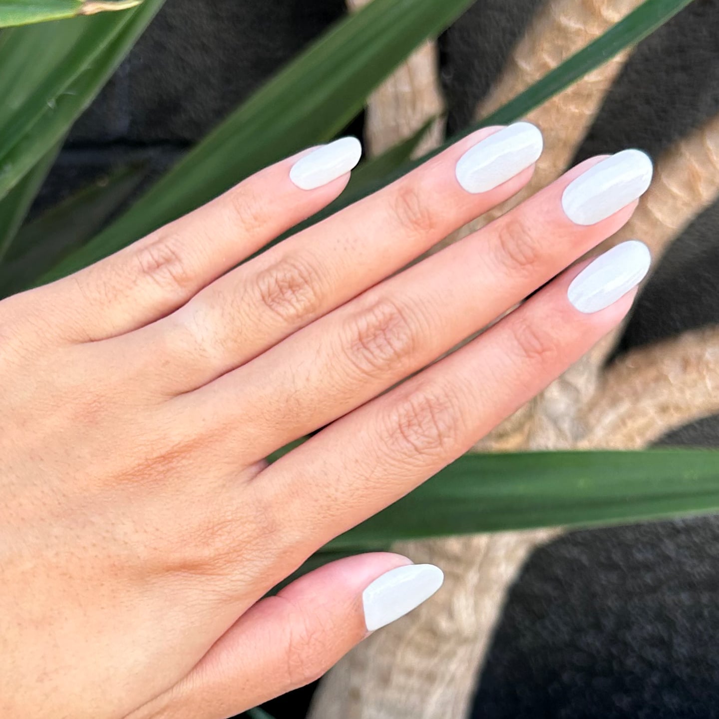 Medium Oval Solid White Glossy Nails — Cute Dip Powder Nails