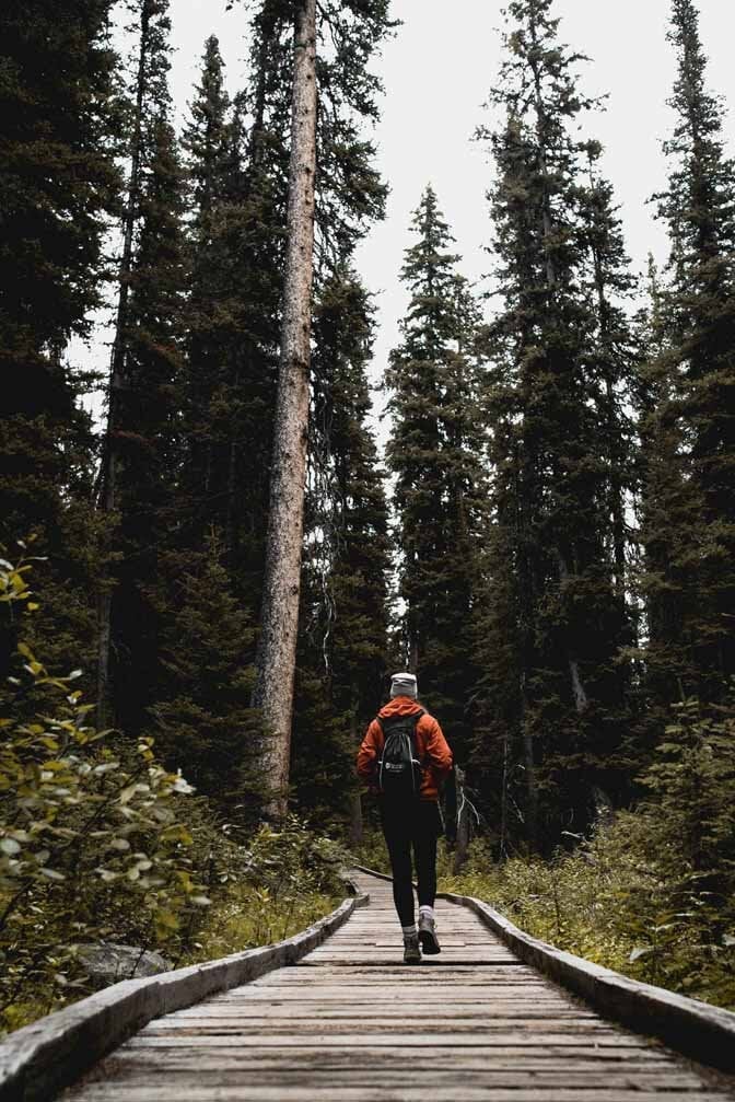 Orange Jacket and Black Pants for a Forest Path — Cute Hiking Outfit Inspo