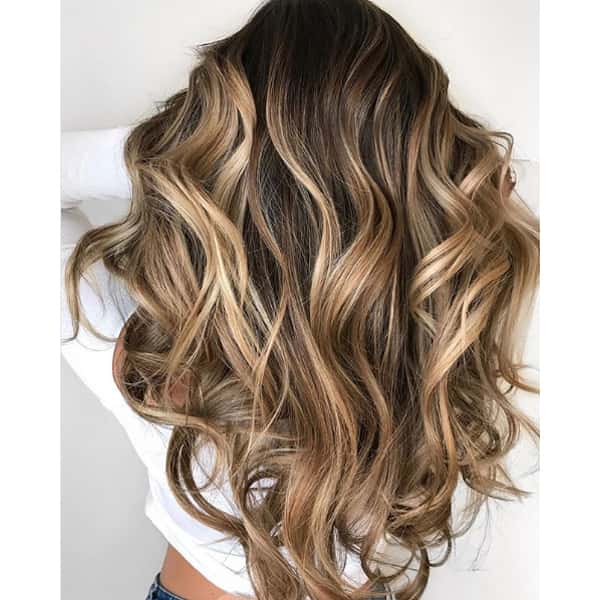 Mid-Back Dark Brown With Honey Blonde Balayage, Close-Up Take — Honey Blonde Hair Inspiration