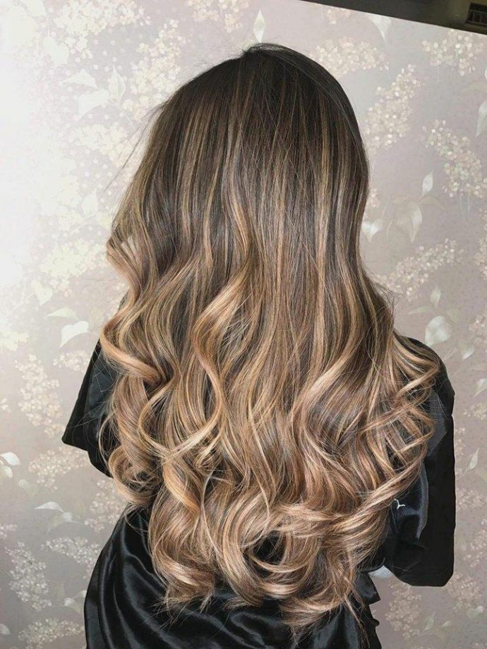 Mid-Back Dark Brown to Honey Blonde with Highlights — Winter Ombre Hair