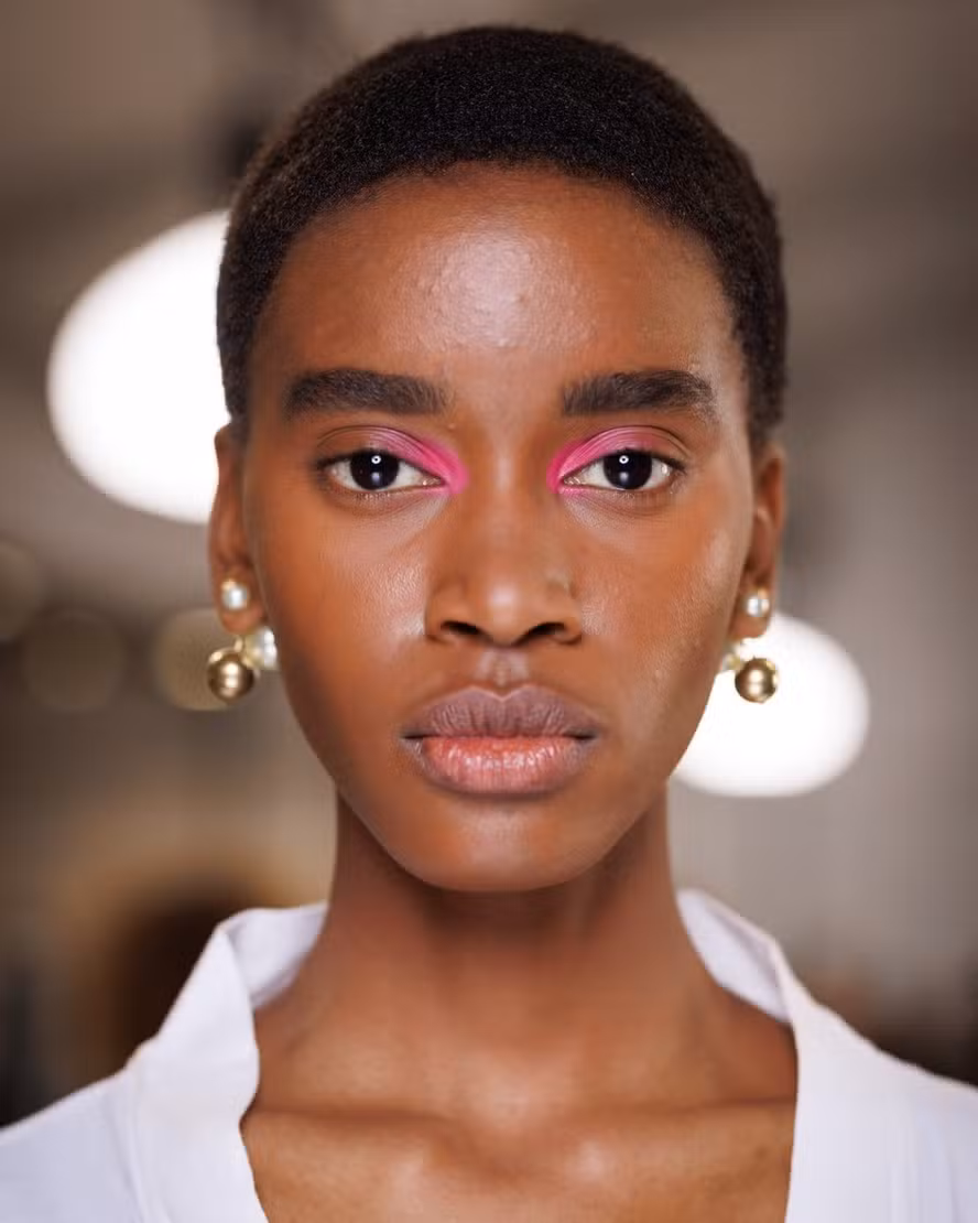 Ear Visual Idea Ear Visual Idea — Winter Hair Colors for Brown Eyes