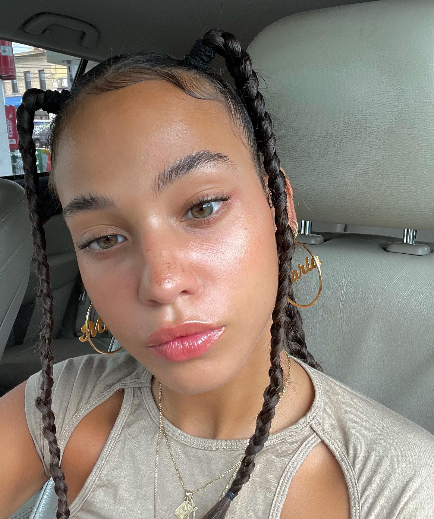 Two High Braided Pigtails — Winter Protective Hairstyles