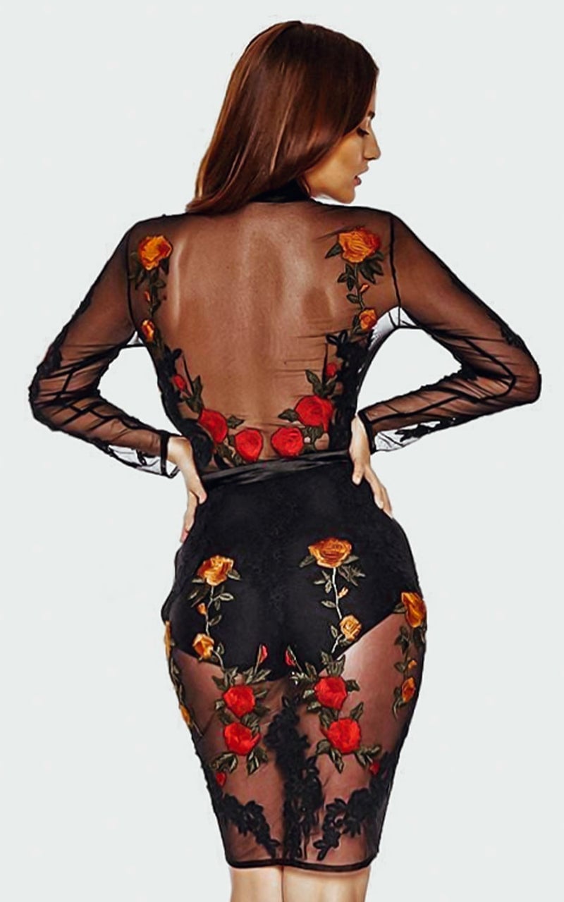 Mini Mesh Dress With Floral Embroidery Mini Mesh Dress With Floral Embroidery — Mesh Dress Ideas