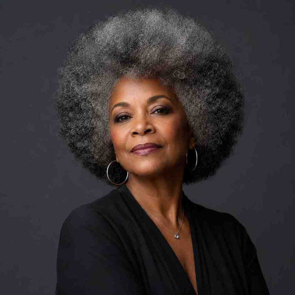 Grey and Black Afro With Classic Blowout — Natural Hair Black Women Styles