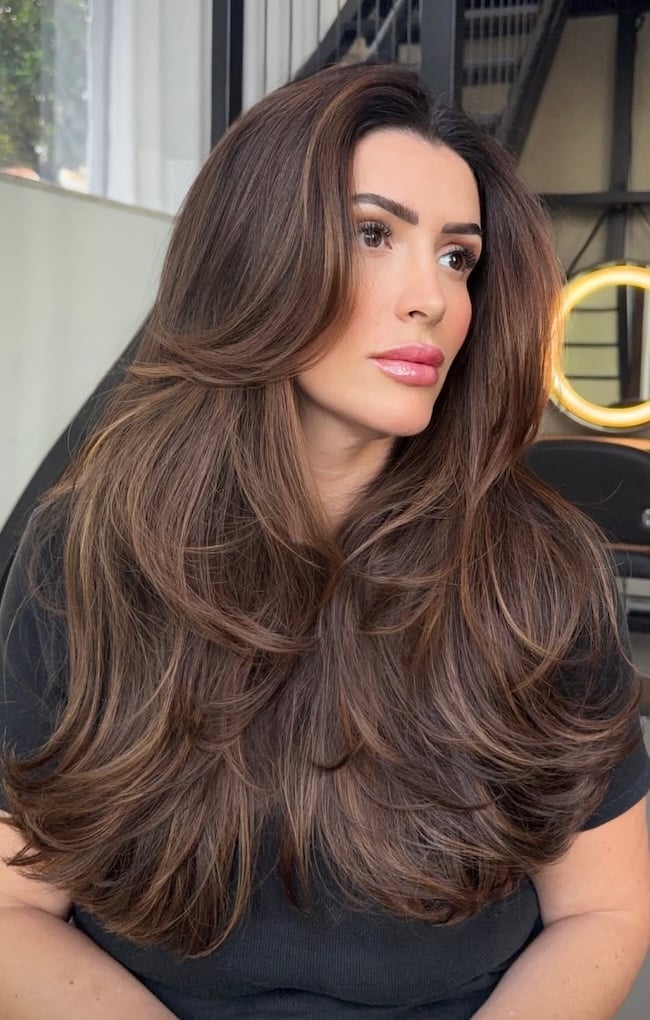 Rich Walnut Brown With Chestnut Highlights Rich Walnut Brown With Chestnut Highlights — Natural Hair Color Styles
