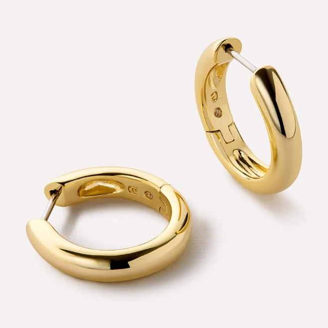 accessory Ana Luisa Giulia Large Hoop Earrings Ana Luisa $65
