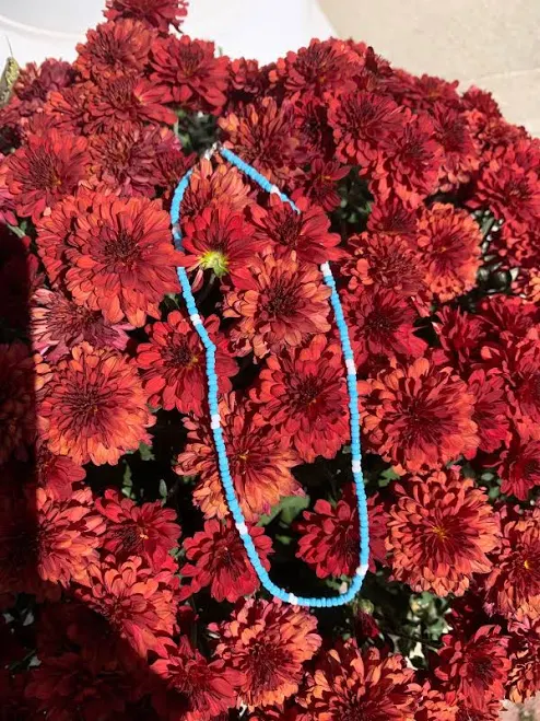 accessory Beaded Necklace Etsy - Seller $4.19