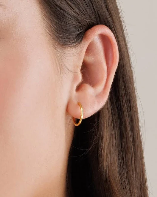 accessory Dainty Gold Hoop Earrings Monday Monarch $42