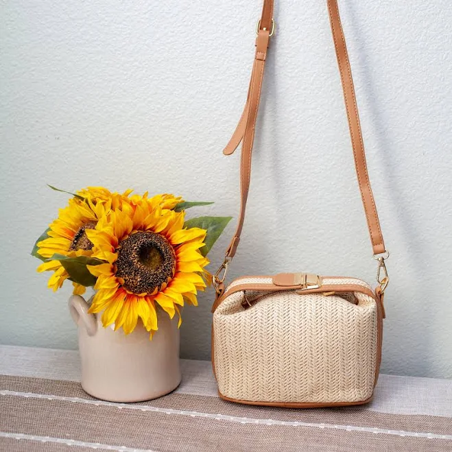 bag Elena Straw Woven Purse with Leather Accent Elena Handbags $42