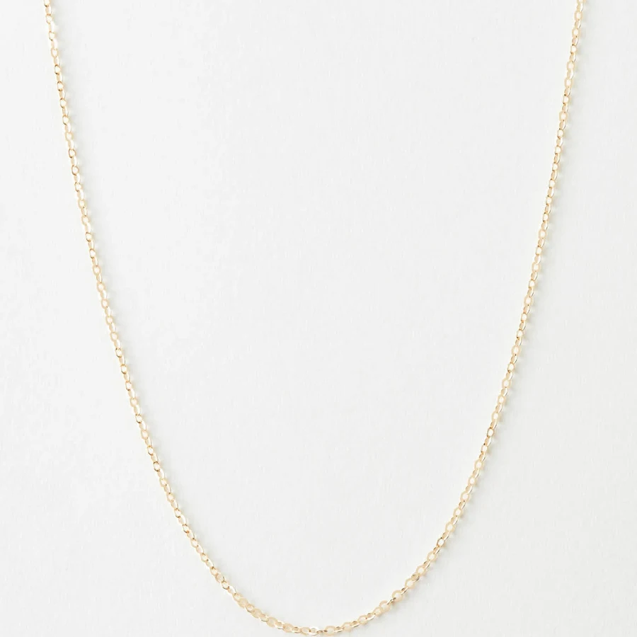 accessory GLDN Dainty Chain GLDN $48