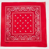 accessory Red Paisley Bandana - RED Tillys $3.99