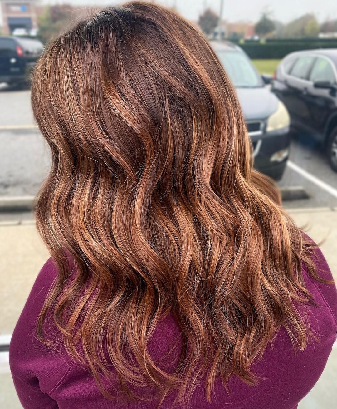 Mid-Back Dark Brown With Sun-Kissed Auburn Highlights Mid-Back Dark Brown With Sun-Kissed Auburn Highlights — Simple Auburn Highlights
