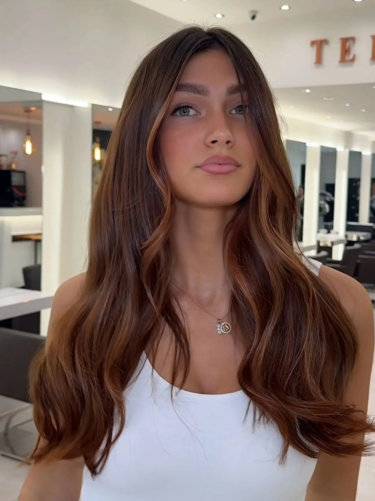 Dark Brown Base With Auburn Highlights and Face-Framing Layers Dark Brown Base With Auburn Highlights and Face-Framing Layers — Simple Auburn Highlights