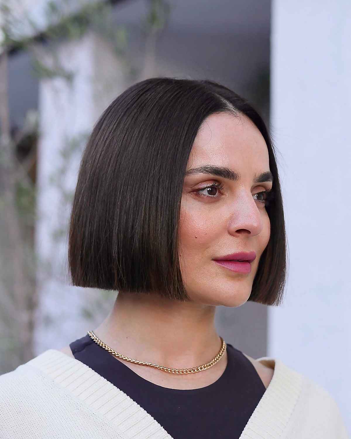 Dark Brown Blunt Bob Air Dried — Simple Blunt Bob