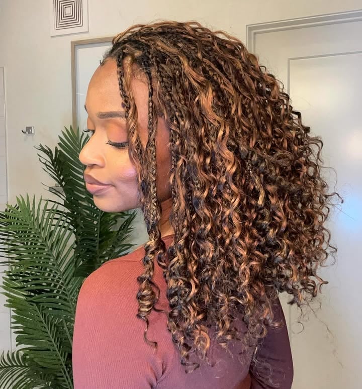 Collarbone Dark Brown Braids With Blonde Highlights And Curls — Simple Boho Braids