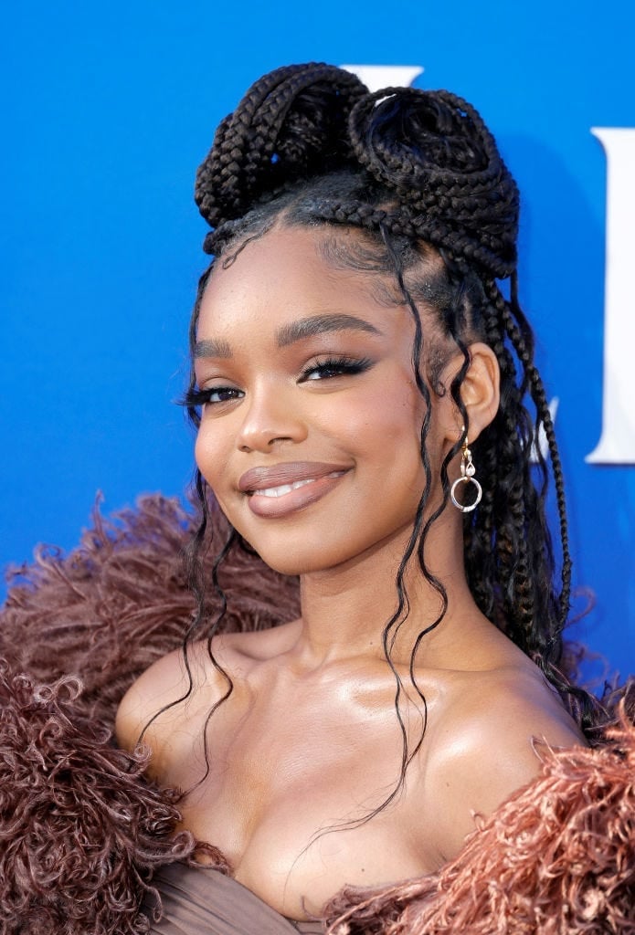Mid-Back Black Box Braids In High Ponytail With Wavy Strands — Simple Boho Braids