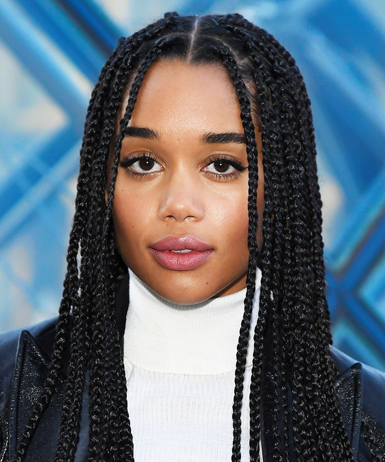 Medium Thickness Black Box Braids to Shoulders — Simple Box Braids