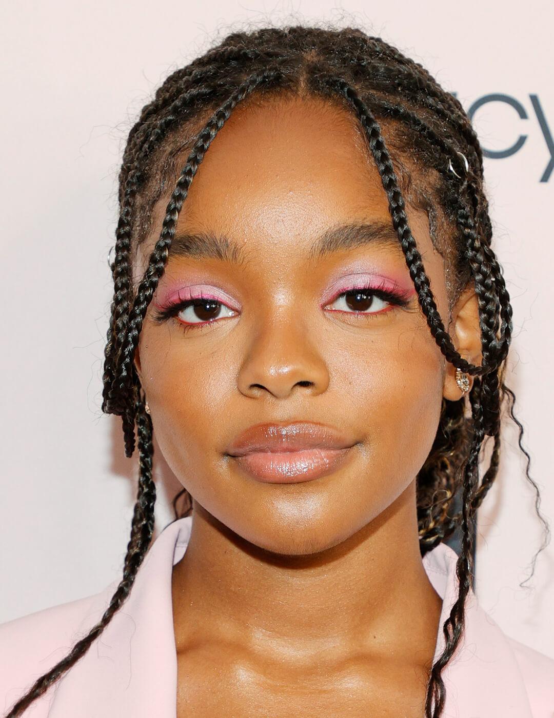 Long Micro Braids With Face-Framing Tendrils — Simple Braids on Natural Hair