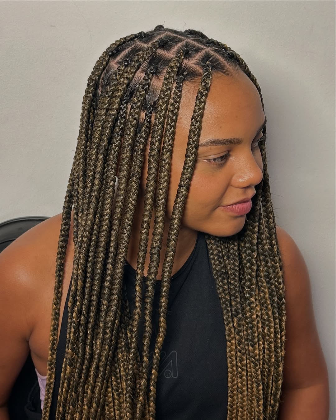 Brown Box Braids With Blonde Highlights Brown Box Braids With Blonde Highlights — Simple Braids on Top