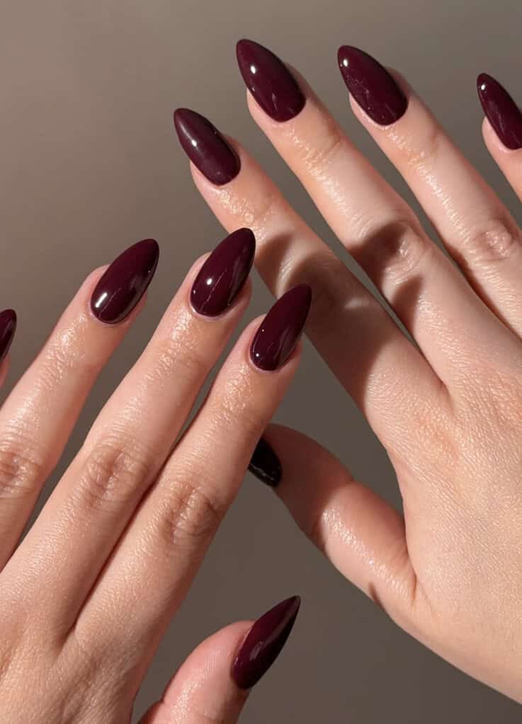 Long Stiletto Nails In Deep Glossy Burgundy — Simple Burgundy Nails Design