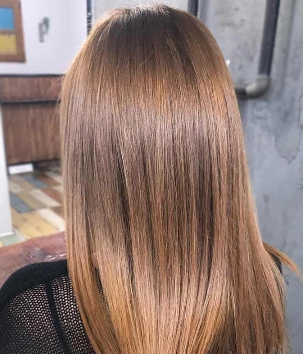 Light Chestnut Long Bob Blowout Light Chestnut Long Bob Blowout — Simple Chestnut Hair