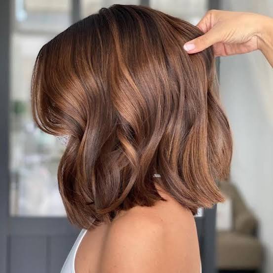 Angled Bob With Caramel Highlights Angled Bob With Caramel Highlights — Simple Chestnut Hair