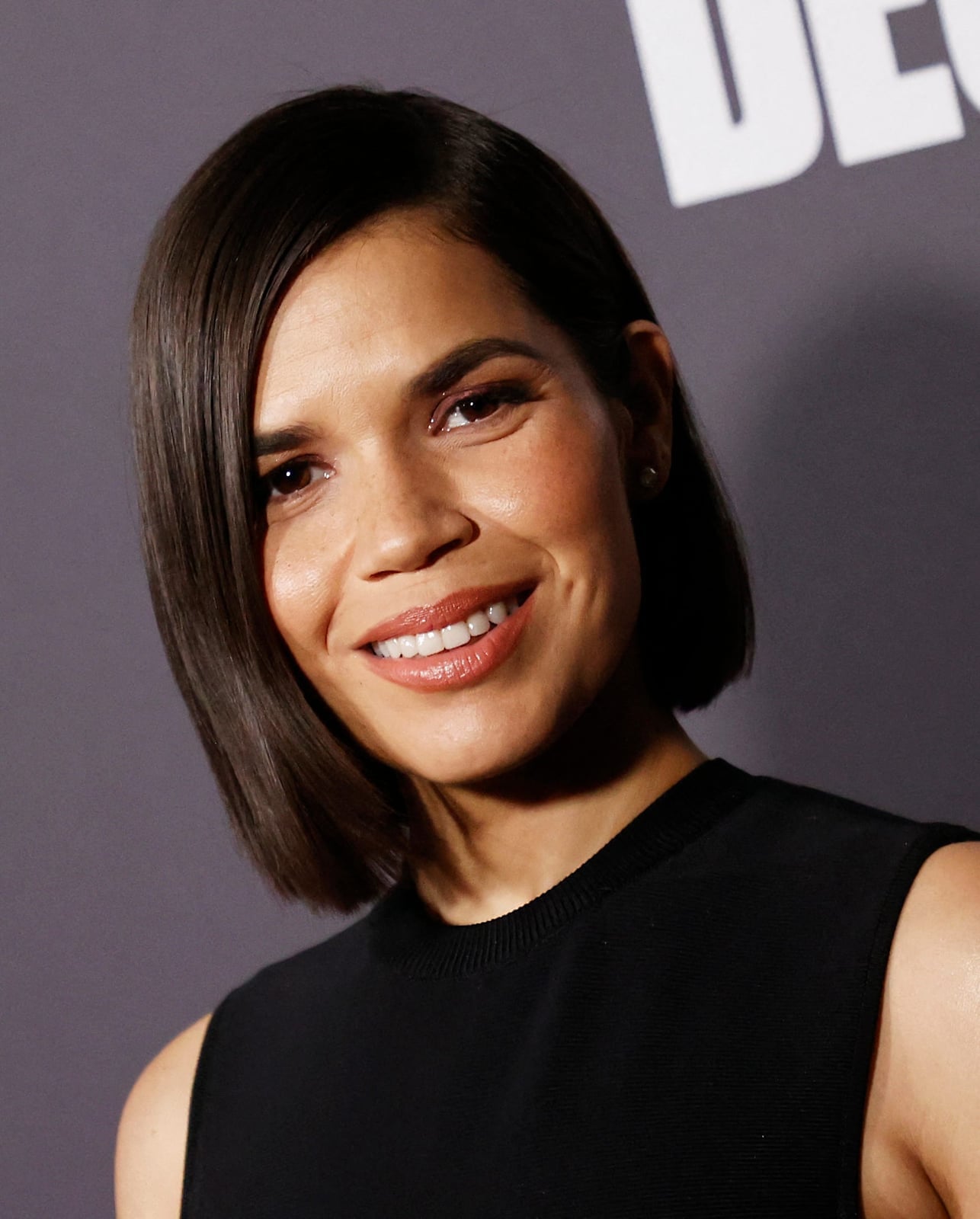 Sleek Dark Chin Length Bob Sleek Dark Chin Length Bob — Simple Chin Length Bob
