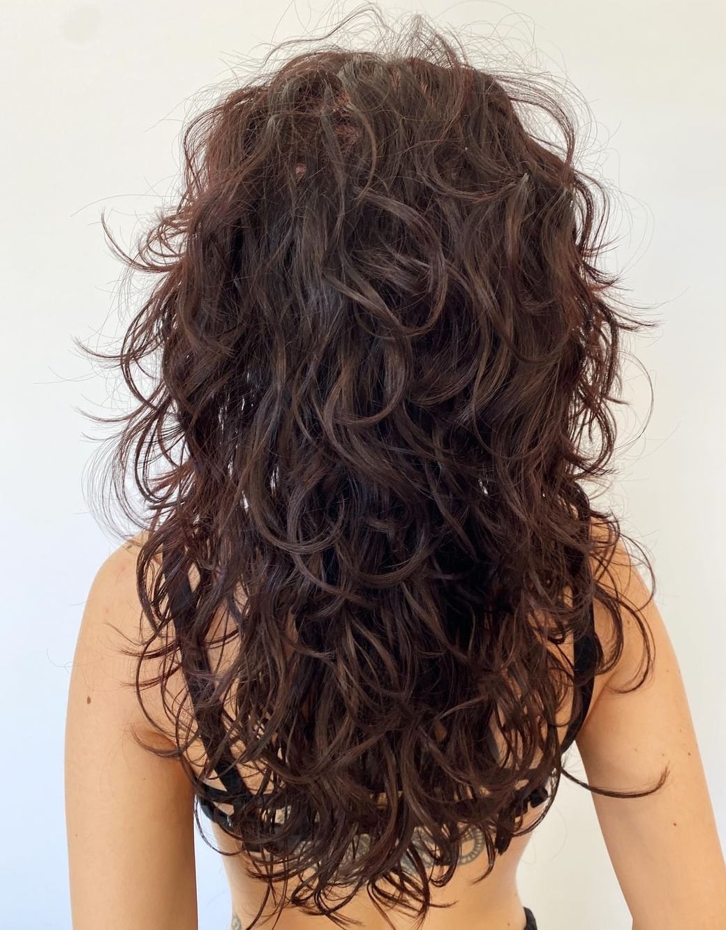 Mid-Back Shag With Layers and No Bangs Mid-Back Shag With Layers and No Bangs — Simple Curly Shag