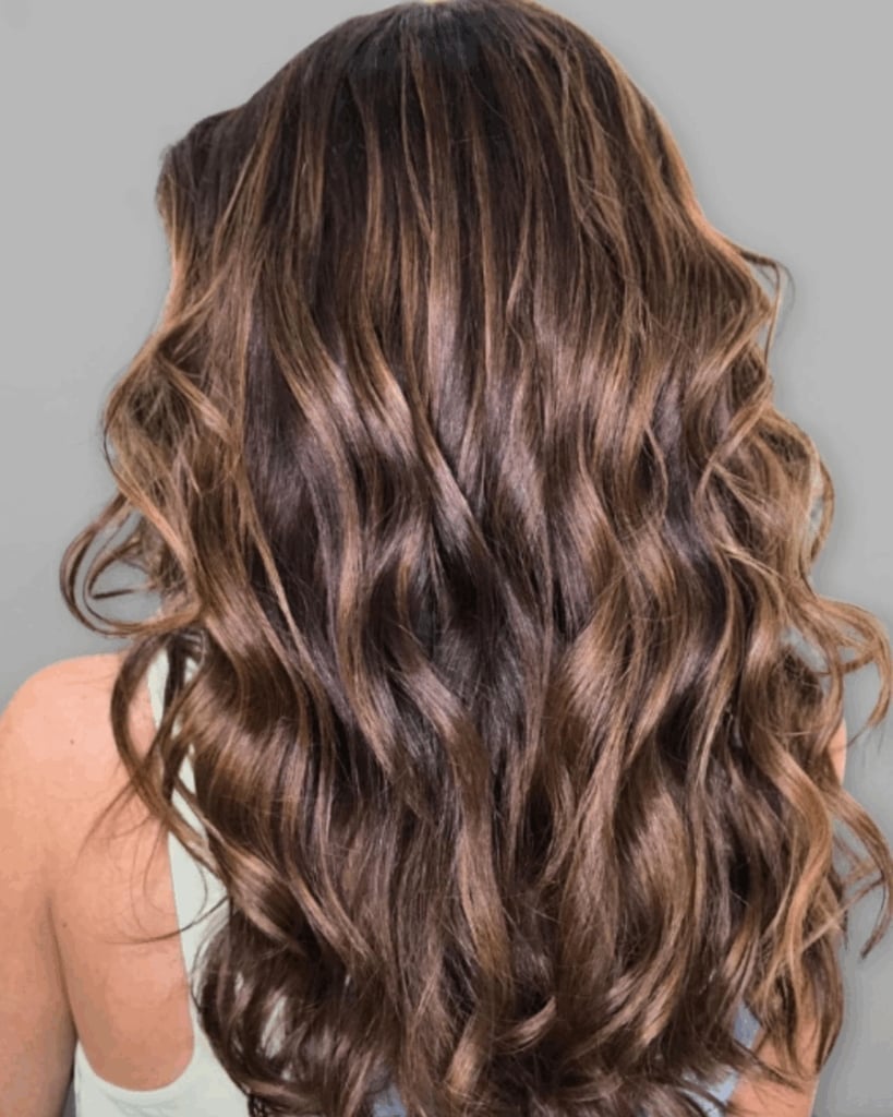 Mid-Back Dark Brown With Lighter Brown Highlights Curls, Wavy Mid-Back Dark Brown With Lighter Brown Highlights Curls, Wavy — Simple Dark Highlights