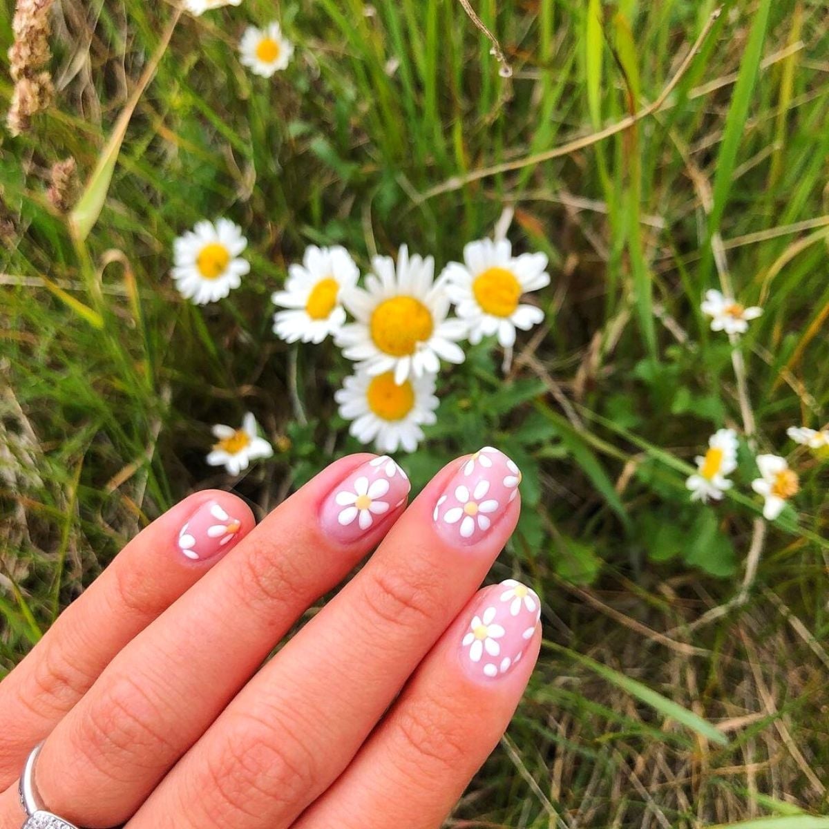 Short Oval Pink Base with Scattered White Daisies Short Oval Pink Base with Scattered White Daisies — Simple Floral Nails