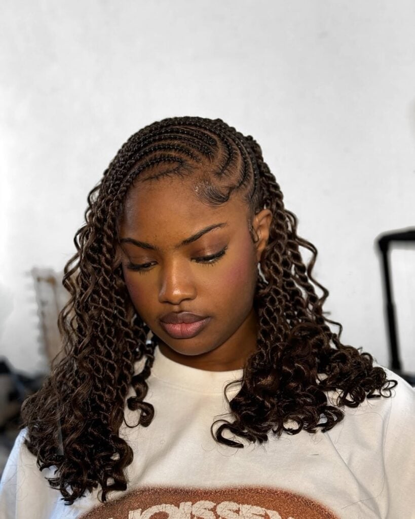 Lemonade Fulani Twist Hairstyle Inspiration — Simple Fulani Braids Hairstyles