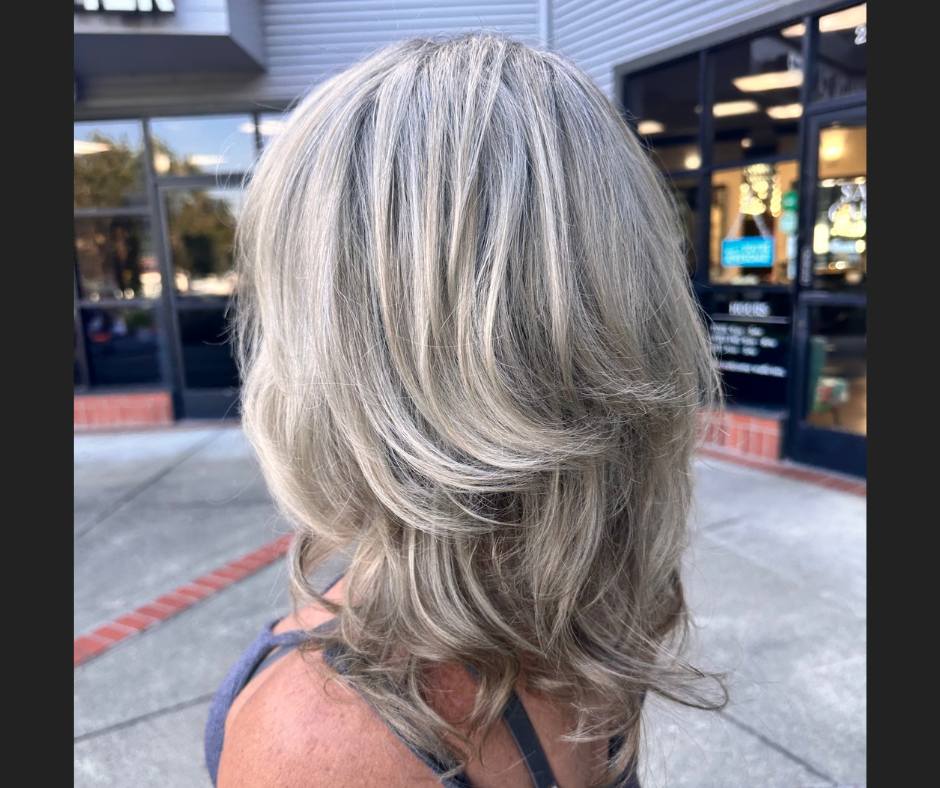 Shoulder Length Layers With Subtle Grays — Simple Gray Highlights